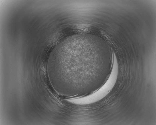 X0000058140613200510072033