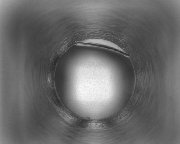 X0000058140614200510072033