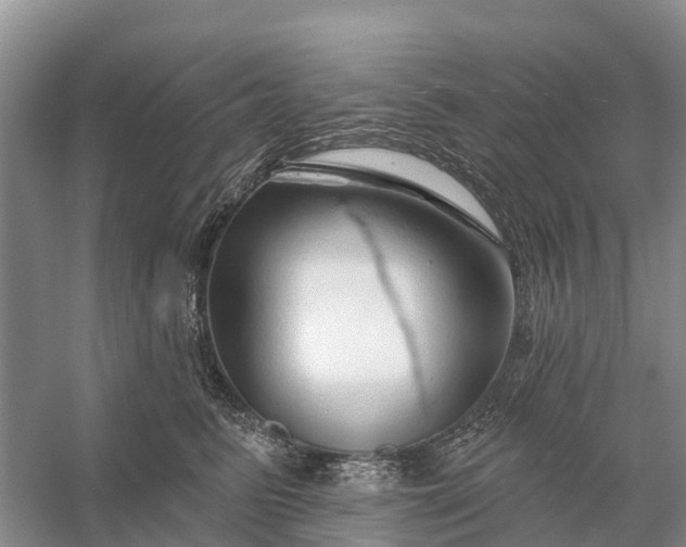 X0000058140615200510072033