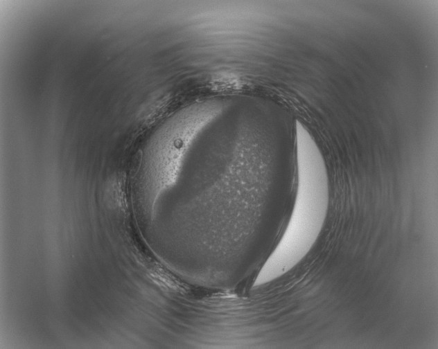 X0000058140616200510072033