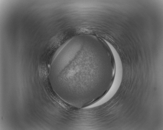 X0000058140617200510072033