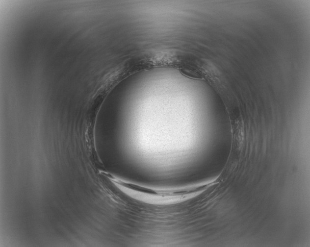 X0000058140619200510072033