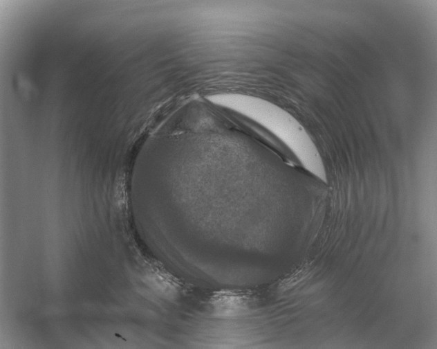 X0000058140620200510072033