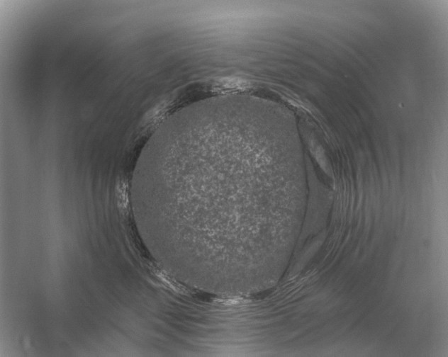 X0000058140621200510072033