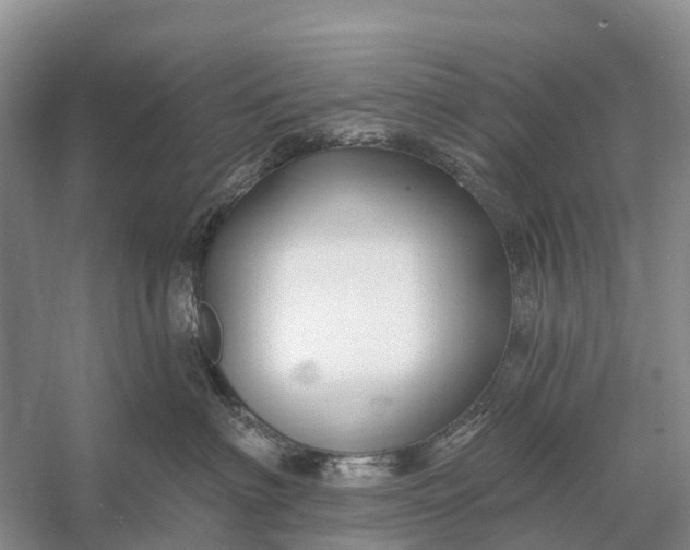 X0000058140622200510072033