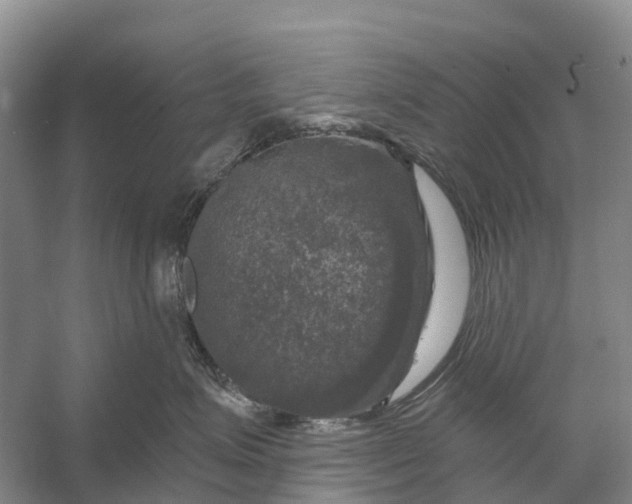 X0000058140623200510072033