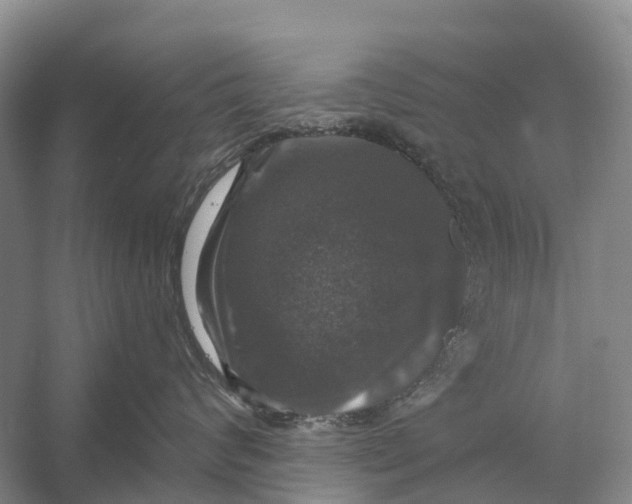 X0000058140624200510072033