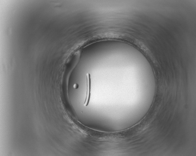 X0000058140625200510072032