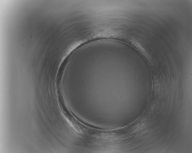 X0000058140626200510072032