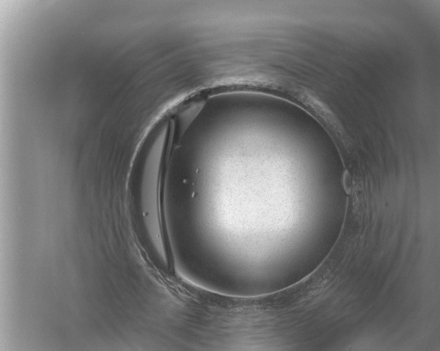 X0000058140628200510072032