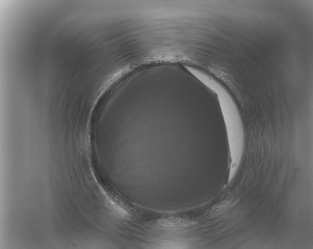 X0000058140630200510072032