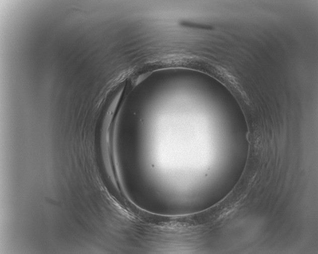 X0000058140633200510072032