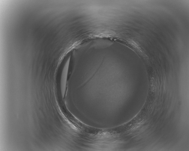 X0000058140634200510072032