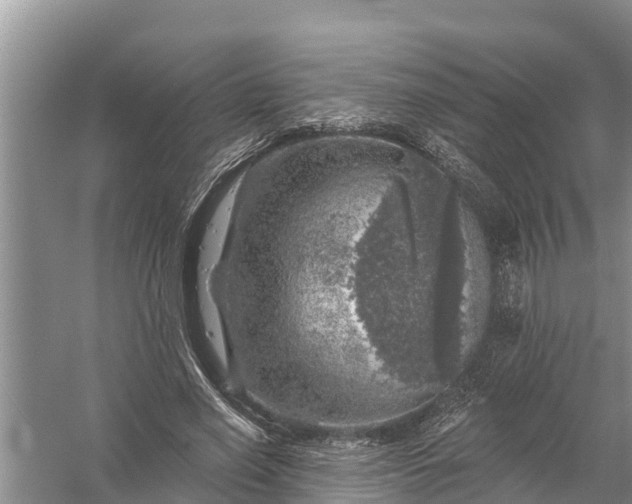 X0000058140638200510072032