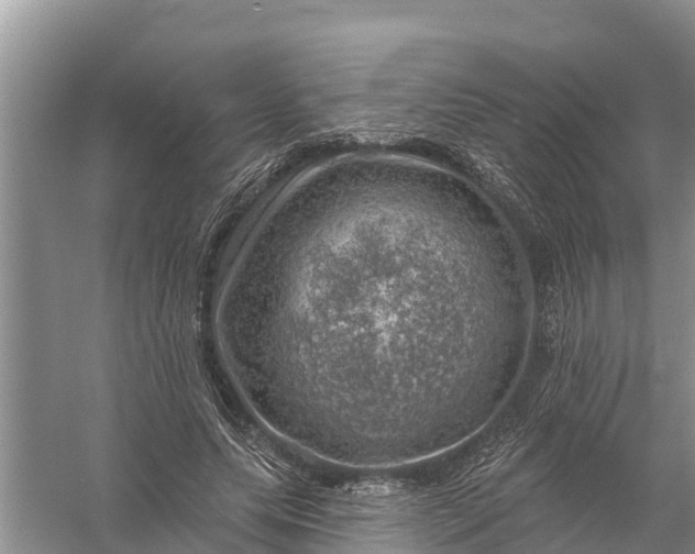 X0000058140639200510072032