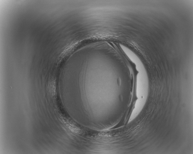 X0000058140640200510072032