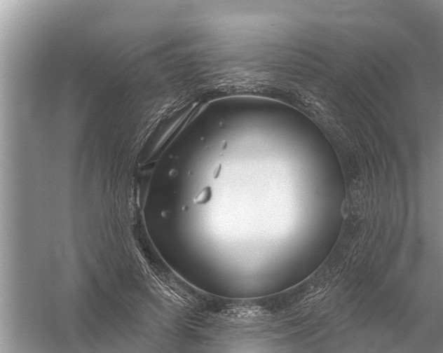 X0000058140642200510072032