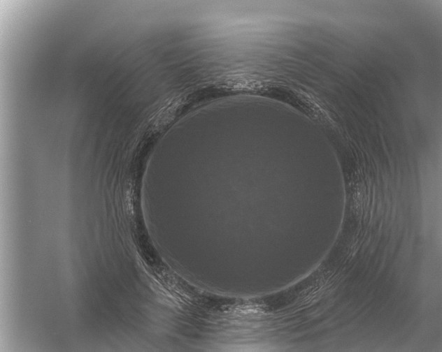 X0000058140643200510072032