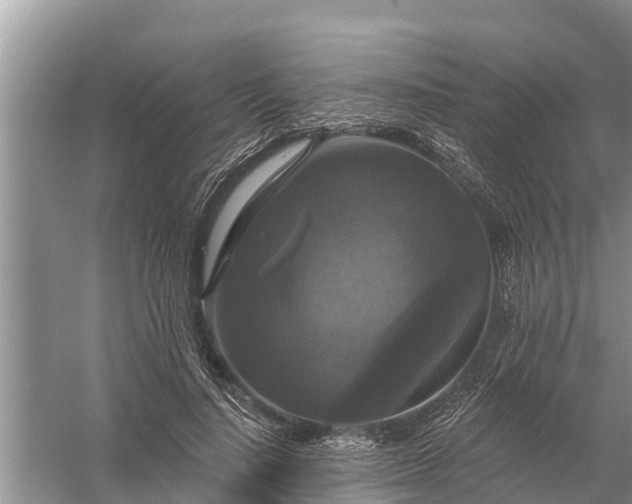 X0000058140644200510072032