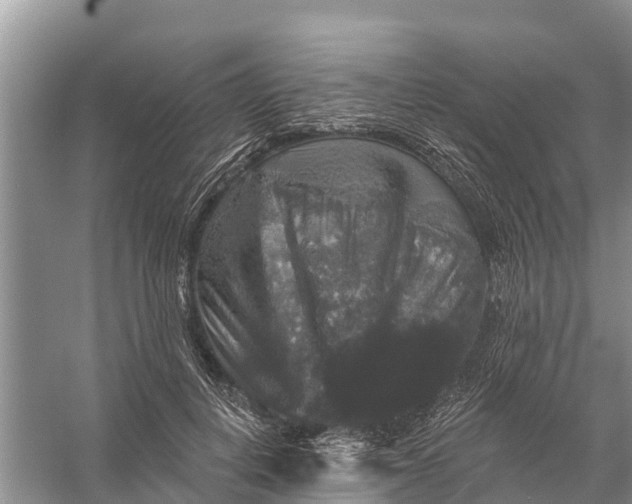 X0000058140648200510072032