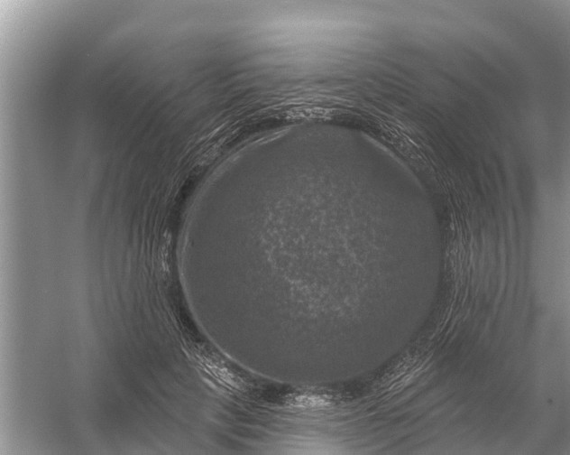 X0000058140649200510072032