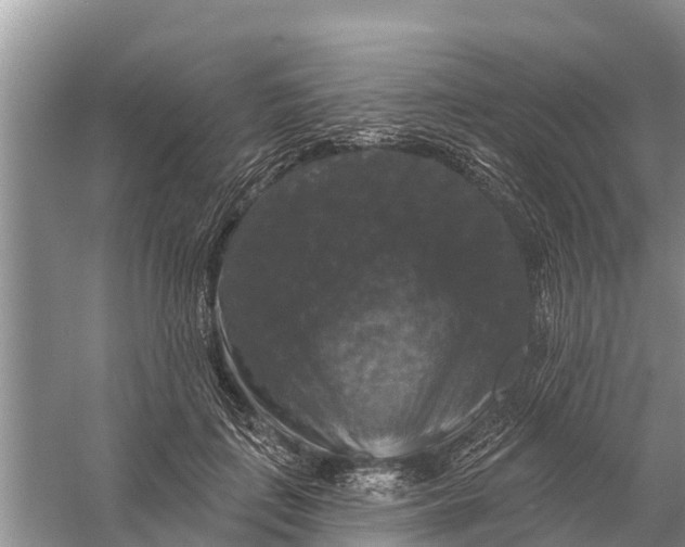 X0000058140651200510072032