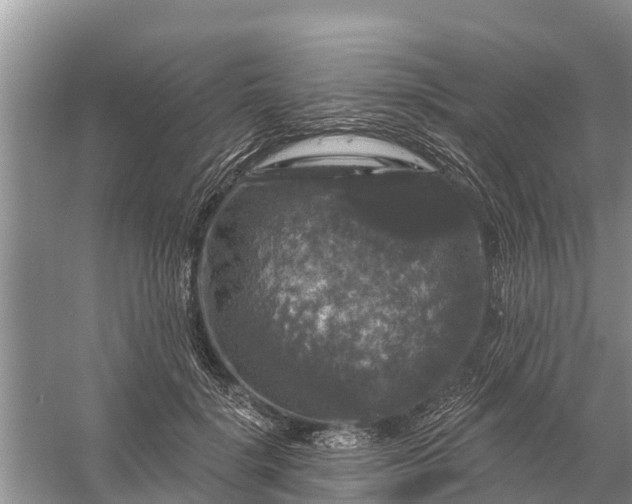 X0000058140652200510072032