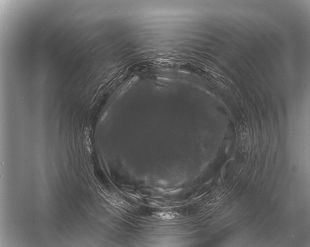 X0000058140654200510072032