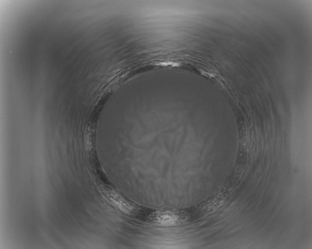 X0000058140658200510072033