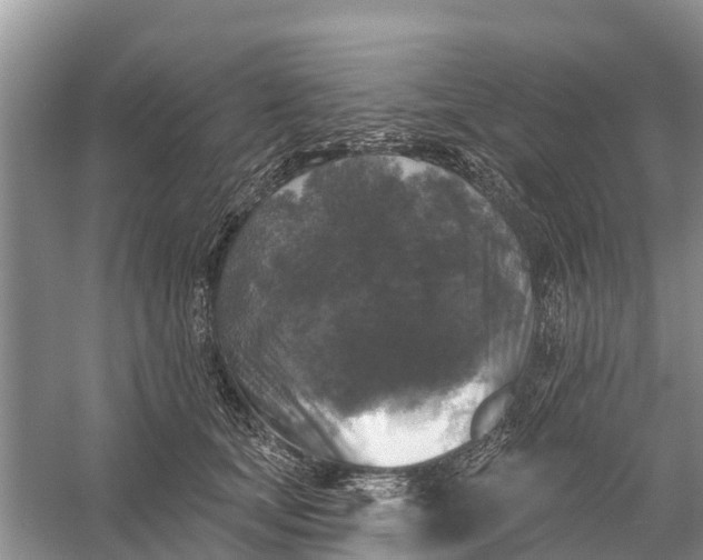 X0000058140659200510072033