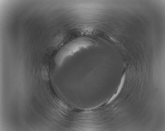 X0000058140661200510072033