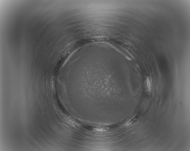 X0000058140662200510072033