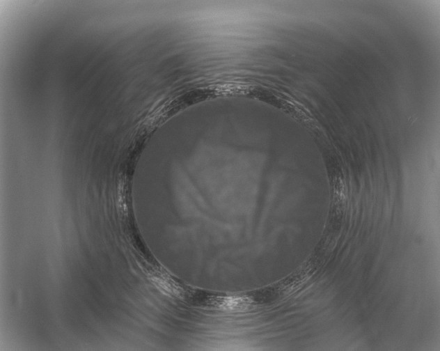 X0000058140663200510072033