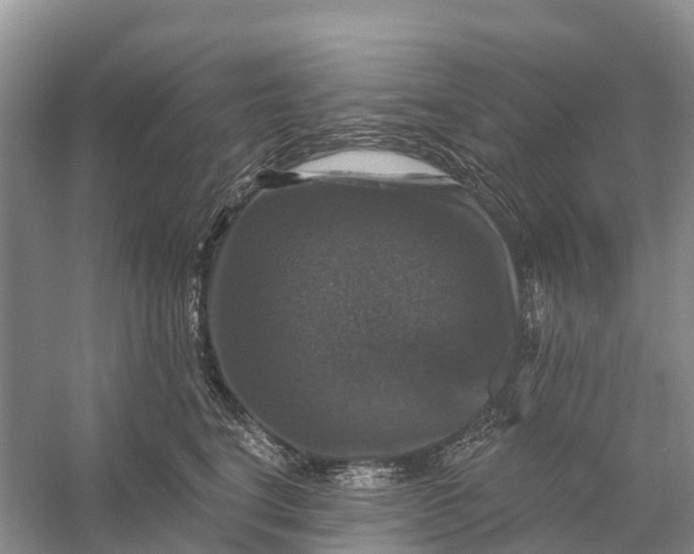 X0000058140664200510072033