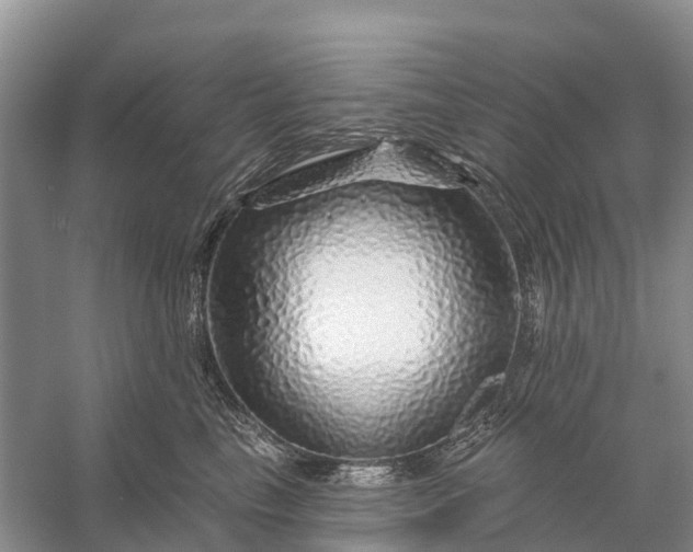 X0000058140665200510072033