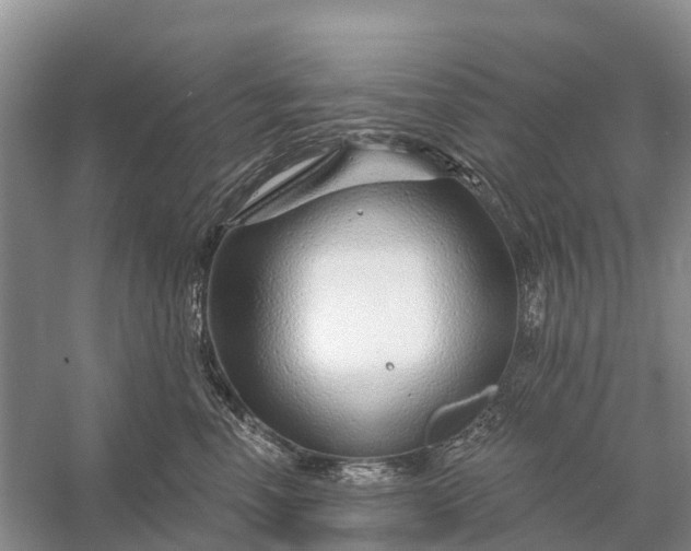 X0000058140666200510072033