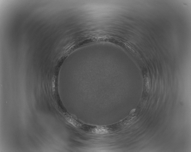 X0000058140668200510072033