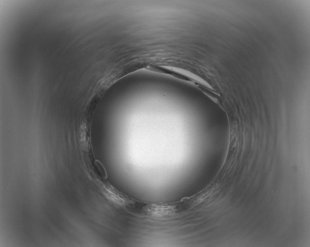 X0000058140670200510072033