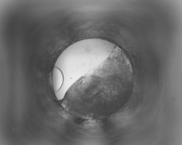 X0000058140672200510072033