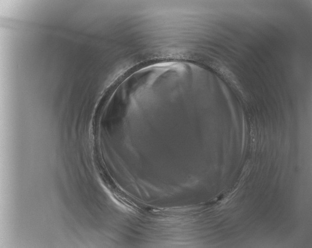 X0000058140674200510072032