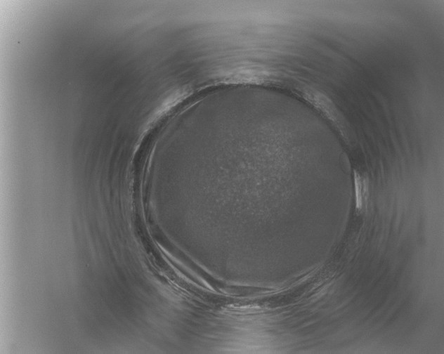 X0000058140675200510072032