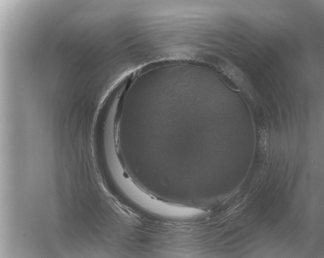 X0000058140676200510072032