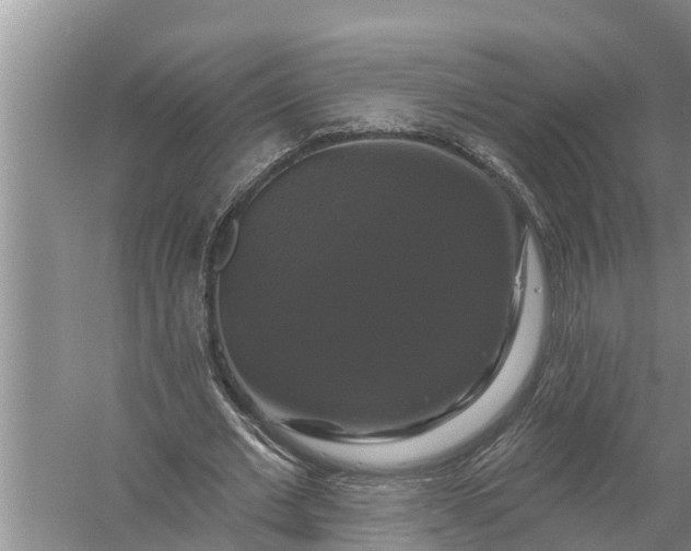 X0000058140677200510072032