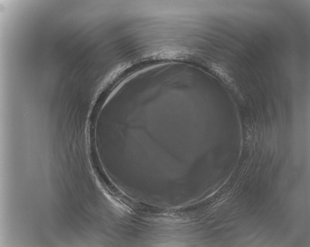 X0000058140678200510072032