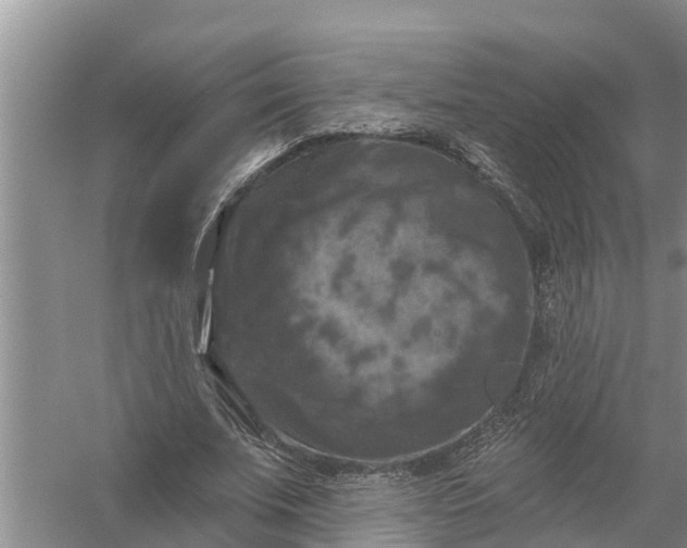 X0000058140679200510072032