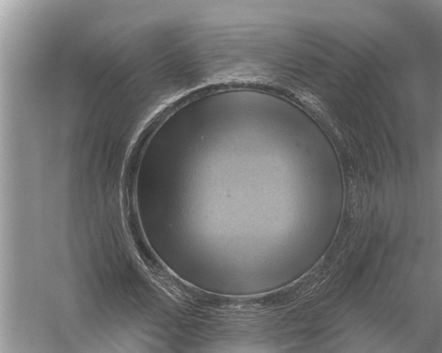 X0000058140680200510072032