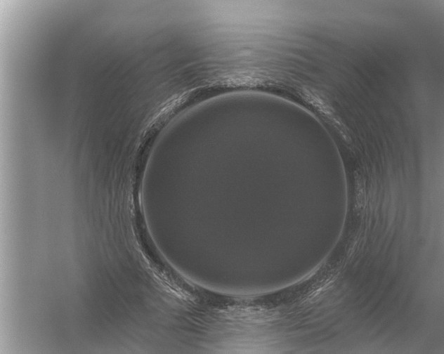 X0000058140681200510072032