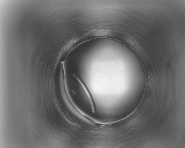 X0000058140682200510072032