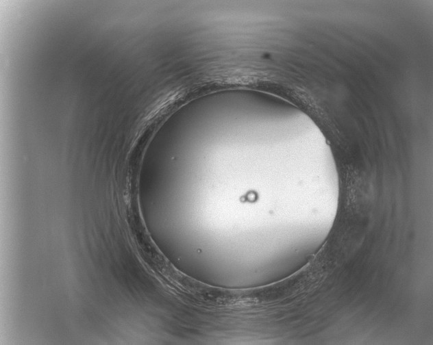 X0000058140683200510072032