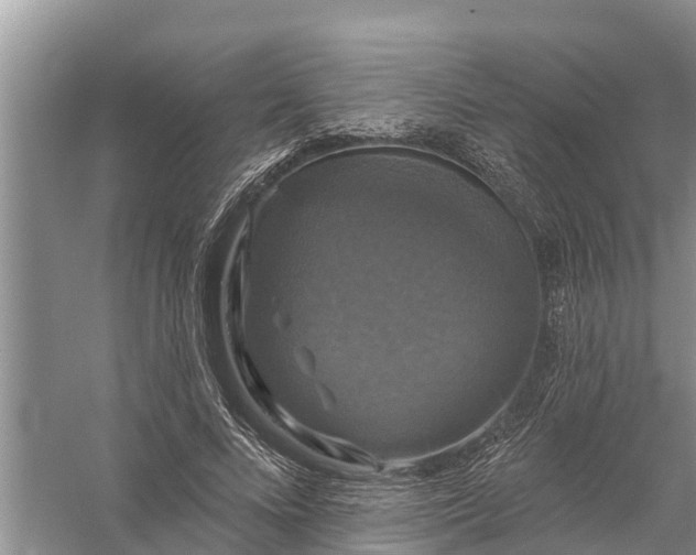 X0000058140688200510072032